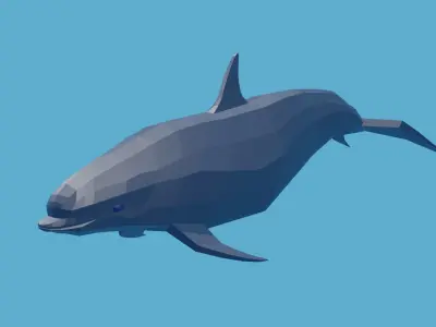 Animated low-poly dolphin for you Low-poly 3D model
