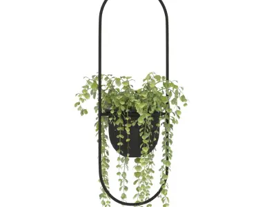 Metal Hanging Plants 01 3D model