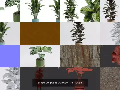 Single pot plants collection