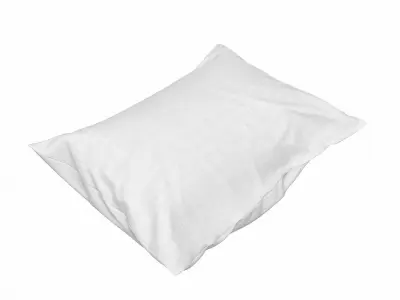 Solid Pillow 11 Low-poly 3D model
