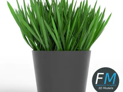 Grass in a pot 1 3D model