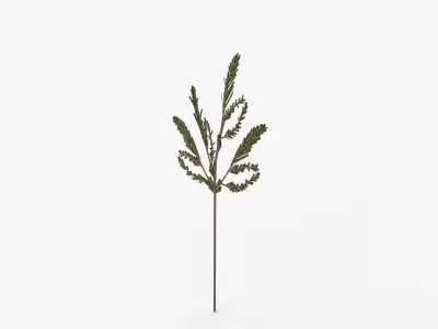 Faux Cedar Branch 3D model