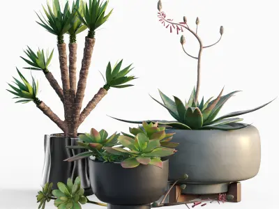 Collection plants 3D model 02