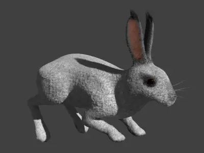 Rabbit BW ANIMATED FUR 3D model