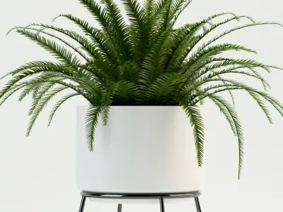 Plants collection 76 Modernica pots 3D model