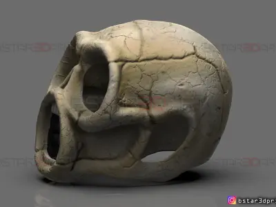 IOWA Sid Wilson Mask - SLIPKNOT Mask - Halloween cosplay 3D print model