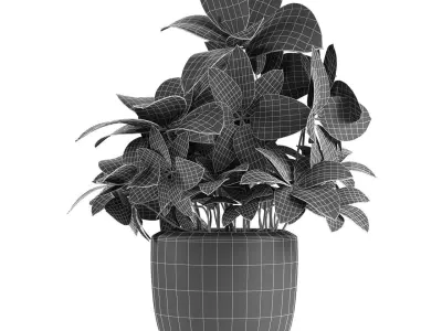 Plant in Pot Flowerpot Exotic Plant 3D model 4