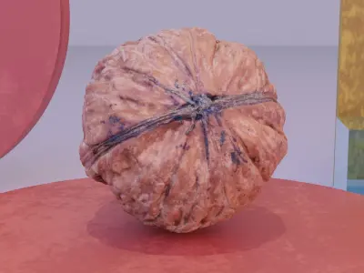 Walnut fruit 05 high-poly 3D model