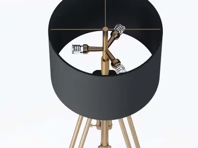 Webcam Light Stand 3D model