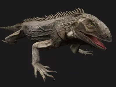 Iguana Reptile Low-poly 3D model