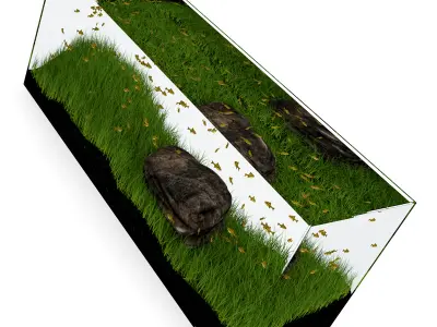 Rectangular Aquarium 3D model