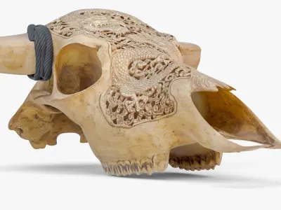 Cow Skull with Dragon Carved 3D 3D model
