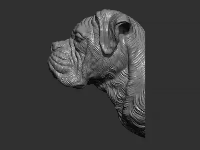 Deutscher Boxer bust 3D print model