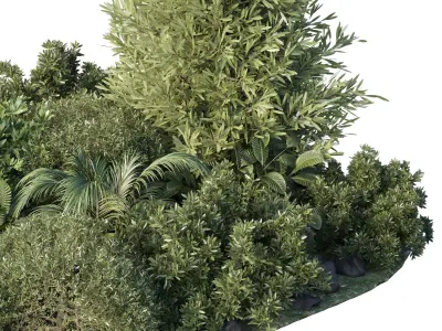 Garden set topiary and tropical plants - outdoor plant 3D model