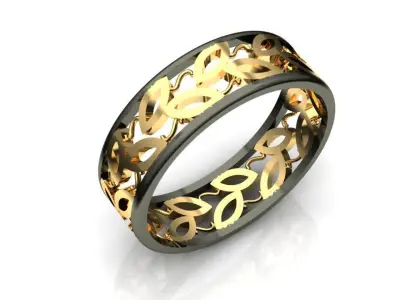 Silber ring  Free 3D print model