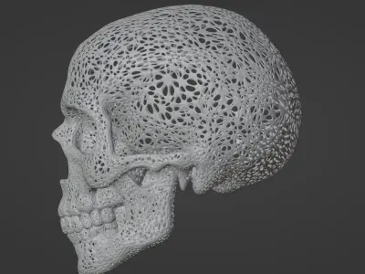 FILIGREE HUMAN SKULL 3D print model