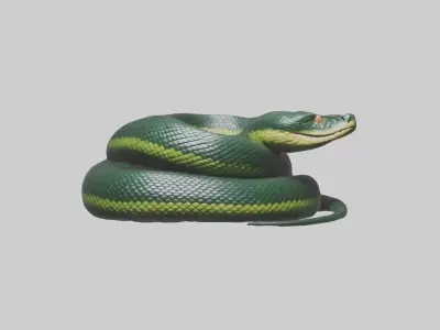 Sleeping Snake Model Low-poly 3D model