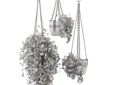 Indoor Plants in rusty Concrete Pot with Macrame - Set 17 3D model