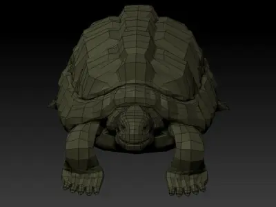 3D TURTLE - LOW POLY tortoise Low-poly 3D model