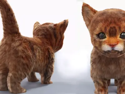 Fur Cute Cat kitten 03 No Rig 3D model