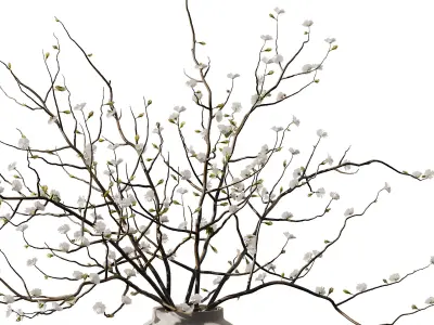 Dry Flower Branche Bouquet 3D model