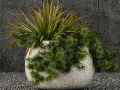 Plants collection 57 3D model