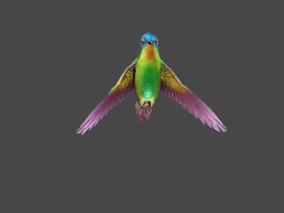 The Flying Hummingbird  3D model