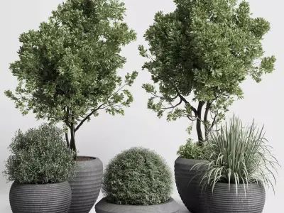 outdoor plant set 152 plant tree grass vase dirty concrete Low-poly 3D model