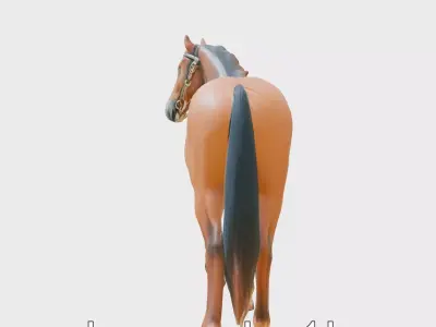 Bay Tennessee Walker Horse 3D Model Low-poly 3D model