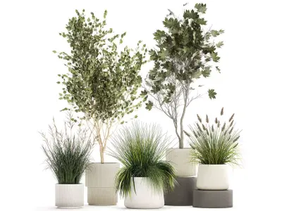 Beautiful bushes trees and grass in a flower pot for decoration  3D model