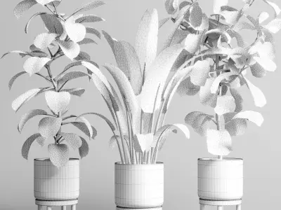 Indoor vase wood pot tree plant ravenala ficus rubbery lyrata 3D model