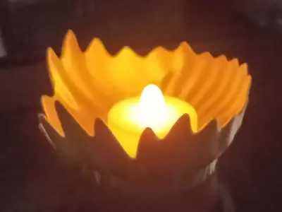 strange seashell bowl Free 3D print model