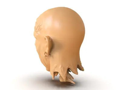 Decapitated Man Head 3D print model
