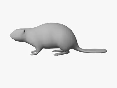 Low Poly Beaver Low-poly 3D model
