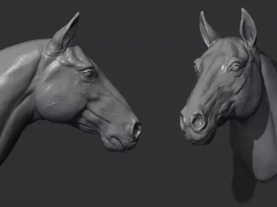 Horse head  3D print model