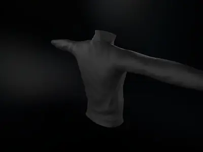 Turtleneck Low-poly 3D model