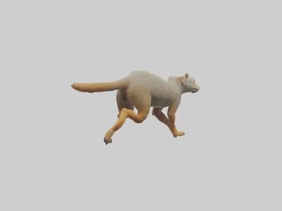 Mongoose running model Low-poly 3D model