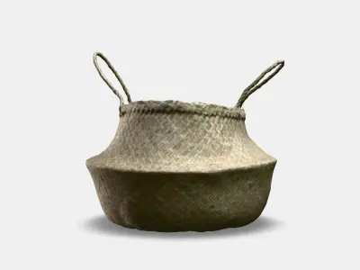 FLADIS Basket 3D model