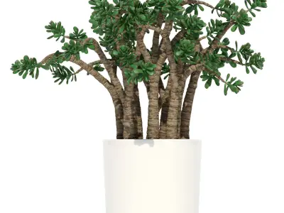 Plants collection 72 Modernica pots 3D model