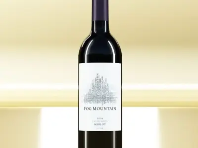 6 Wine Bottles Collection 3D model