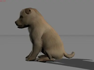 Puppy Dog Animal Low-poly 3D model