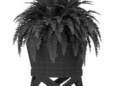 Plants collection 413 3D model