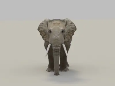 Elephant with tusks Low-poly 3D model