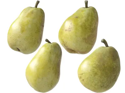 Kieffer Pears 3D Model Collection