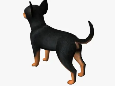 Chihuahua dog Low-poly 3D model
