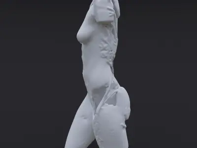 Carved Body 3D model