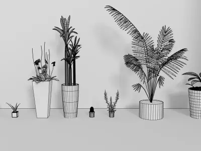 Indoor Decorative Plants Collection 3D model