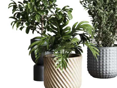 Collection indoor plant 277 pot concrete dirt vase 3D model