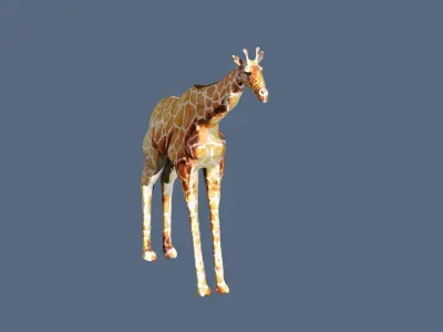giraffe 3D model
