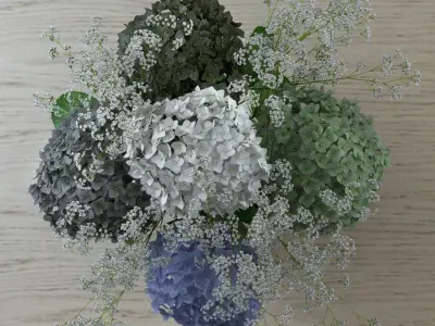Bouquet of Gypsophila with Hyndrangeas 3D model
